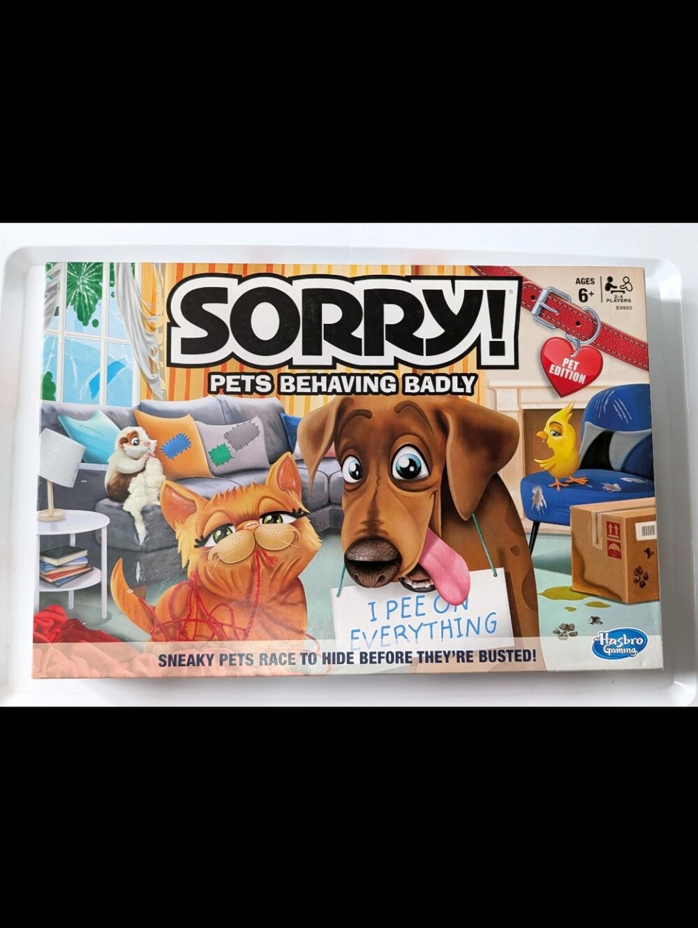 sorry! pets behaving badly board game